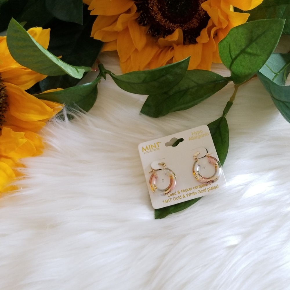 Mint Collection 14KT Gold Plated Hoop Earrings